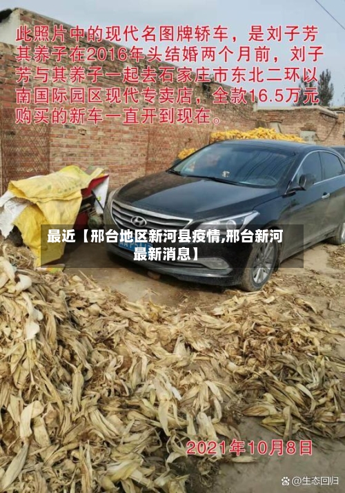 最近【邢台地区新河县疫情,邢台新河最新消息】-第3张图片