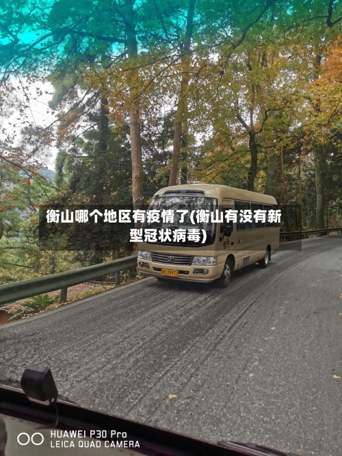 衡山哪个地区有疫情了(衡山有没有新型冠状病毒)-第3张图片