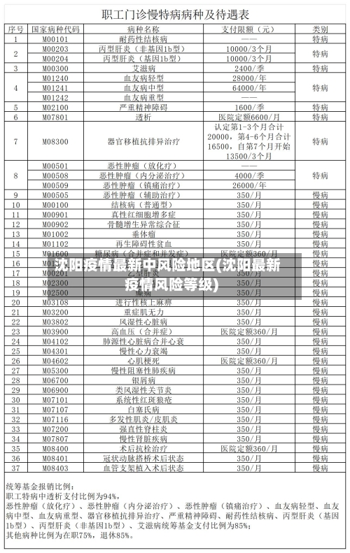 沈阳疫情最新中风险地区(沈阳最新疫情风险等级)-第2张图片