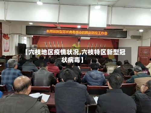 【六枝地区疫情状况,六枝特区新型冠状病毒】-第2张图片