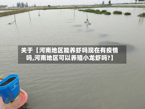 关于【河南地区能养虾吗现在有疫情吗,河南地区可以养殖小龙虾吗?】