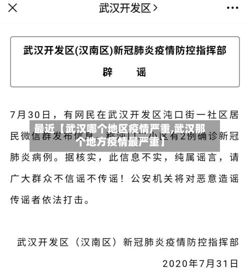最近【武汉哪个地区疫情严重,武汉那个地方疫情最严重】-第3张图片