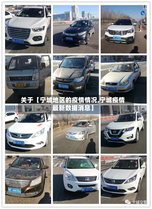 关于【宁城地区的疫情情况,宁城疫情最新数据消息】