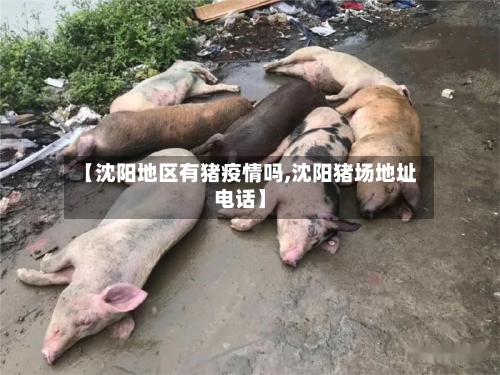 【沈阳地区有猪疫情吗,沈阳猪场地址电话】-第2张图片