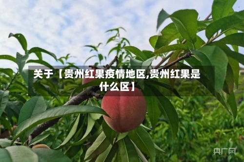 关于【贵州红果疫情地区,贵州红果是什么区】-第3张图片