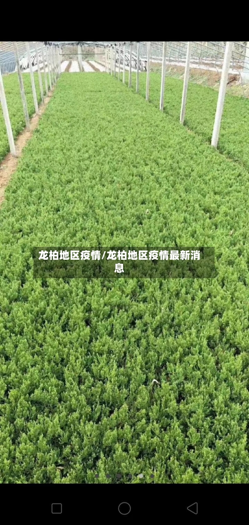龙柏地区疫情/龙柏地区疫情最新消息