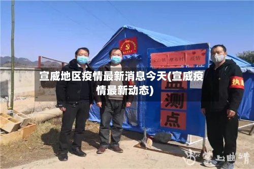 宣威地区疫情最新消息今天(宣威疫情最新动态)-第2张图片