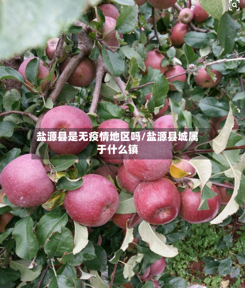 盐源县是无疫情地区吗/盐源县城属于什么镇-第3张图片