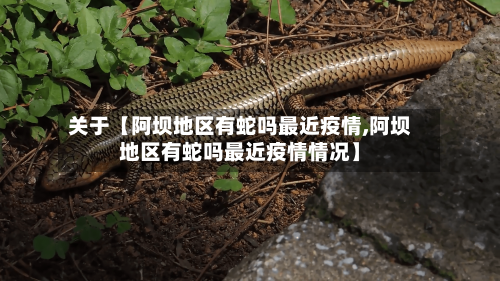 关于【阿坝地区有蛇吗最近疫情,阿坝地区有蛇吗最近疫情情况】-第2张图片
