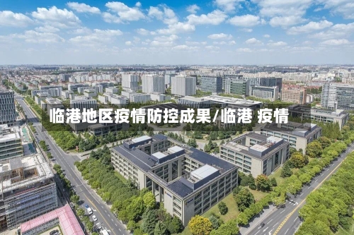 临港地区疫情防控成果/临港 疫情-第2张图片