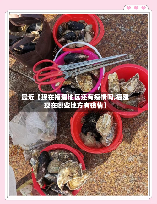 最近【现在福建地区还有疫情吗,福建现在哪些地方有疫情】-第2张图片