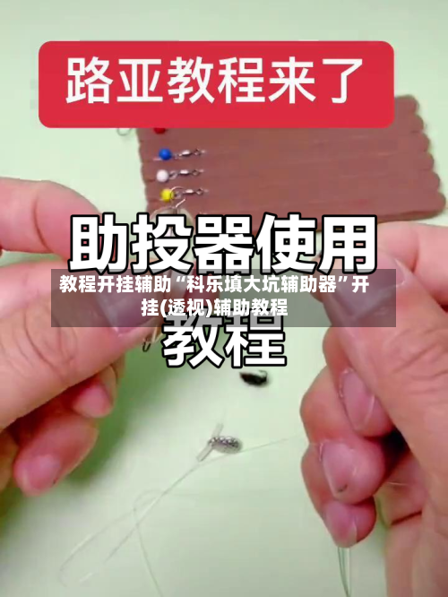 教程开挂辅助“科乐填大坑辅助器”开挂(透视)辅助教程-第2张图片