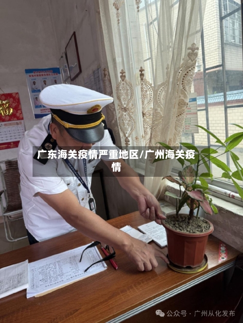 广东海关疫情严重地区/广州海关疫情-第2张图片