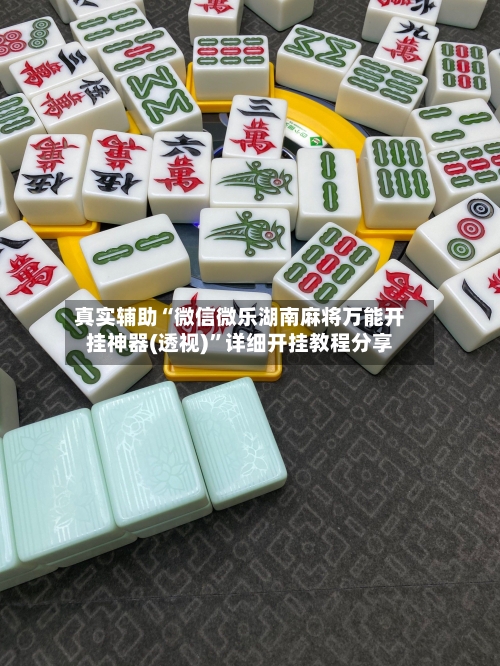 真实辅助“微信微乐湖南麻将万能开挂神器(透视)”详细开挂教程分享