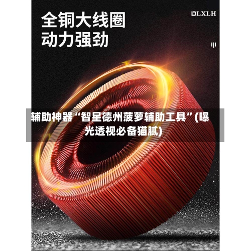 辅助神器“智星德州菠萝辅助工具”(曝光透视必备猫腻)-第2张图片