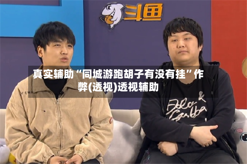 真实辅助“同城游跑胡子有没有挂”作弊(透视)透视辅助-第2张图片