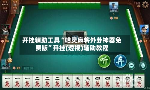 开挂辅助工具“哈灵麻将外卦神器免费版”开挂(透视)辅助教程-第3张图片