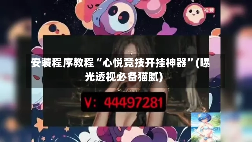 安装程序教程“心悦竞技开挂神器”(曝光透视必备猫腻)-第2张图片