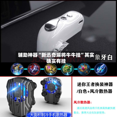 辅助神器“新迅奇麻将牛牛挂”其实确实有挂