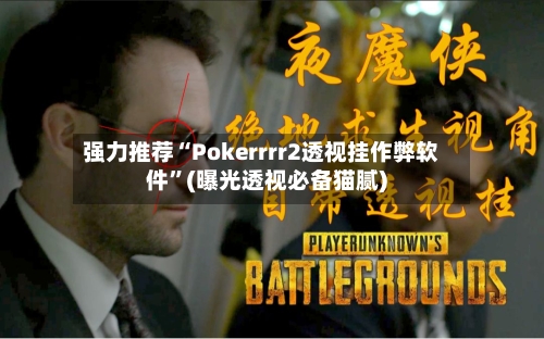 强力推荐“Pokerrrr2透视挂作弊软件”(曝光透视必备猫腻)-第2张图片