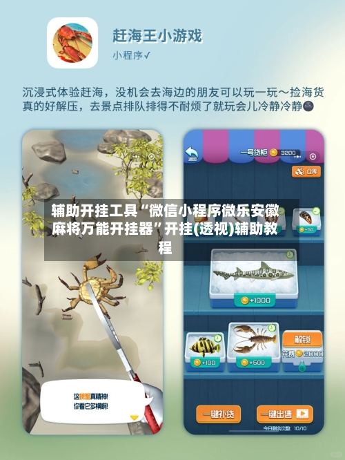 辅助开挂工具“微信小程序微乐安徽麻将万能开挂器”开挂(透视)辅助教程-第2张图片