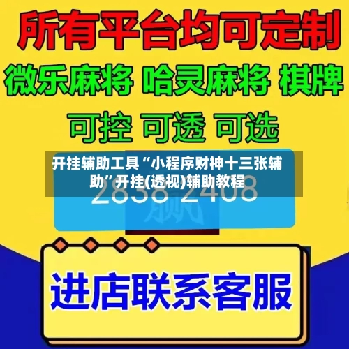开挂辅助工具“小程序财神十三张辅助”开挂(透视)辅助教程-第2张图片