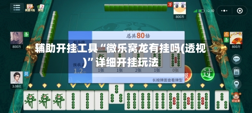 辅助开挂工具“微乐窝龙有挂吗(透视)”详细开挂玩法