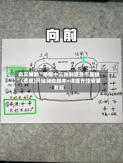 真实辅助“嘟嘟十三张到底是不是挂”(透视)开挂辅助脚本+详细开挂安装教程