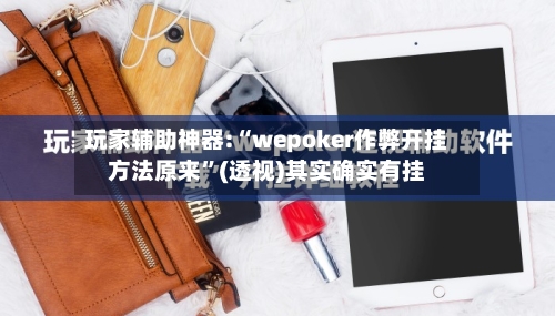 玩家辅助神器:“wepoker作弊开挂方法原来”(透视)其实确实有挂-第2张图片