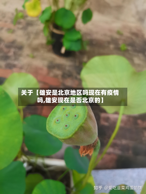 关于【雄安是北京地区吗现在有疫情吗,雄安现在是否北京的】-第3张图片