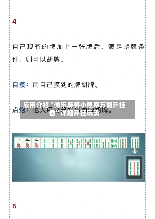 应用介绍“微乐麻将小程序万能开挂器”详细开挂玩法-第2张图片