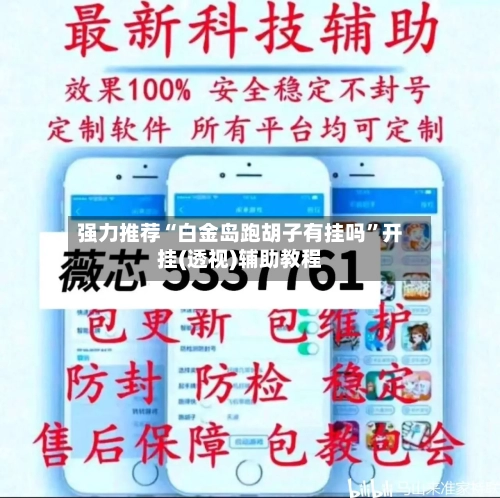 强力推荐“白金岛跑胡子有挂吗”开挂(透视)辅助教程