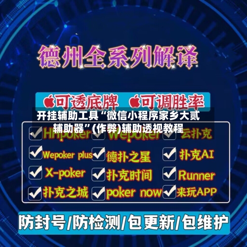 开挂辅助工具“微信小程序家乡大贰辅助器”(作弊)辅助透视教程-第2张图片