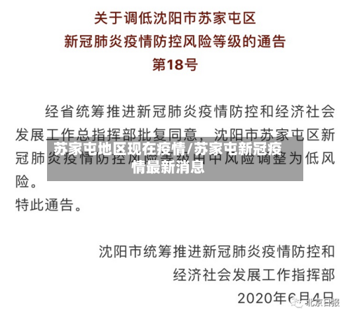 苏家屯地区现在疫情/苏家屯新冠疫情最新消息-第2张图片