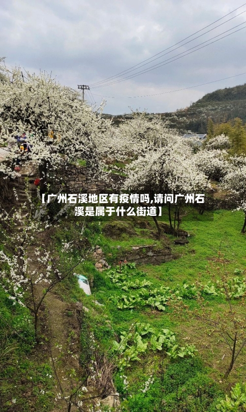 【广州石溪地区有疫情吗,请问广州石溪是属于什么街道】