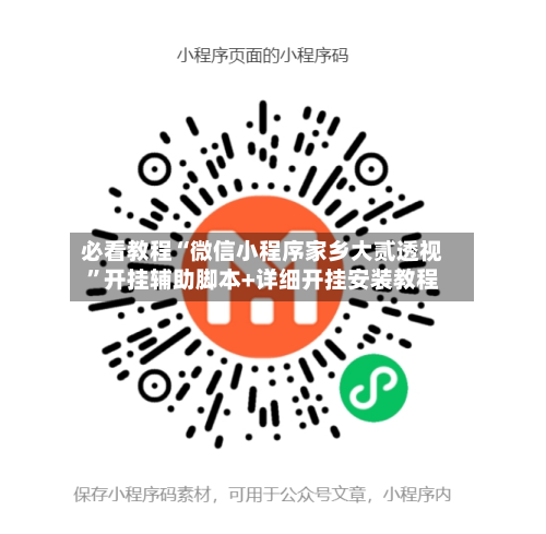 必看教程“微信小程序家乡大贰透视”开挂辅助脚本+详细开挂安装教程