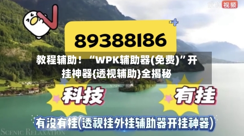 教程辅助！“WPK辅助器(免费)”开挂神器{透视辅助}全揭秘