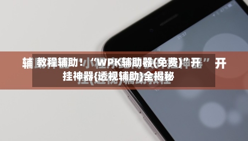 教程辅助！“WPK辅助器(免费)”开挂神器{透视辅助}全揭秘-第3张图片