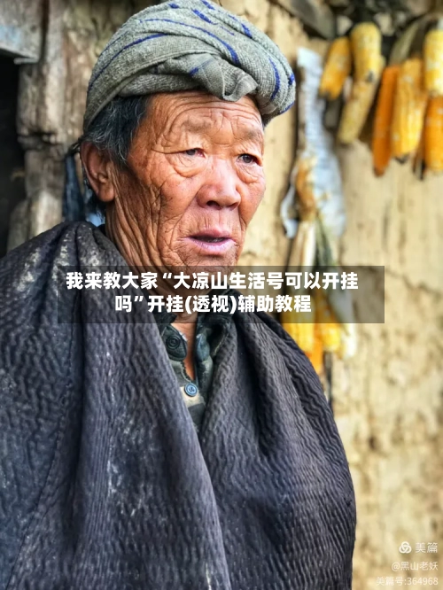 我来教大家“大凉山生活号可以开挂吗”开挂(透视)辅助教程