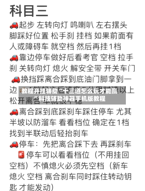 教程开挂辅助“十三道怎么玩才能赢”科技辅助神器手机版教程