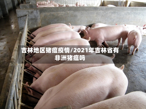 吉林地区猪瘟疫情/2021年吉林省有非洲猪瘟吗