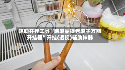 辅助开挂工具“陕麻圈捉老麻子万能开挂器”开挂(透视)辅助神器-第2张图片