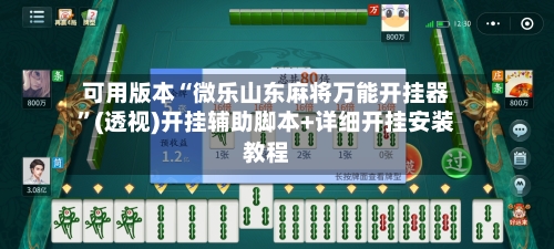 可用版本“微乐山东麻将万能开挂器”(透视)开挂辅助脚本+详细开挂安装教程-第3张图片
