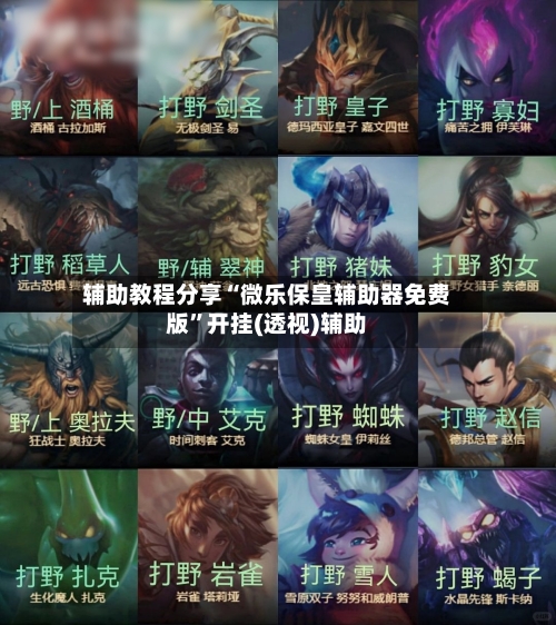 辅助教程分享“微乐保皇辅助器免费版”开挂(透视)辅助