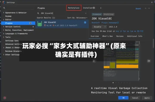 玩家必搜“家乡大贰辅助神器”(原来确实是有插件)-第2张图片