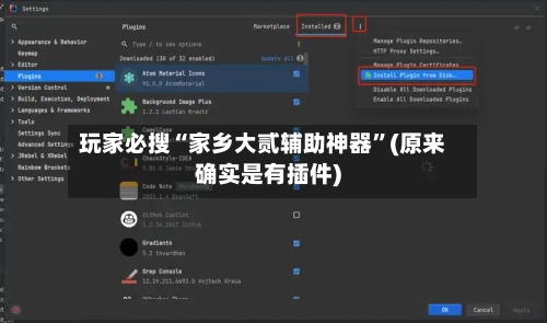 玩家必搜“家乡大贰辅助神器”(原来确实是有插件)