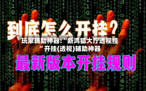 玩家辅助神器:“新鸿狐大厅透视挂”开挂(透视)辅助神器