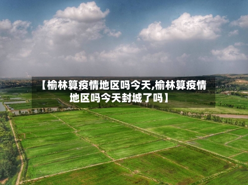 【榆林算疫情地区吗今天,榆林算疫情地区吗今天封城了吗】-第3张图片