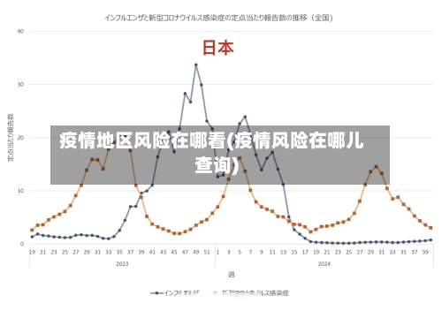疫情地区风险在哪看(疫情风险在哪儿查询)-第3张图片