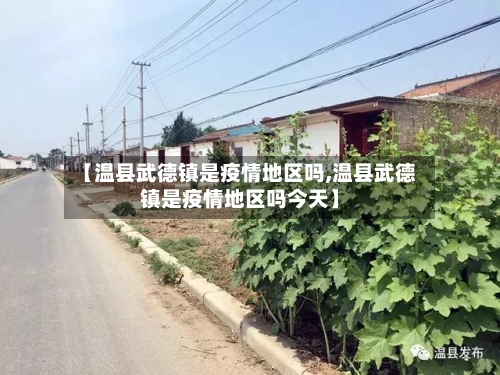 【温县武德镇是疫情地区吗,温县武德镇是疫情地区吗今天】-第3张图片